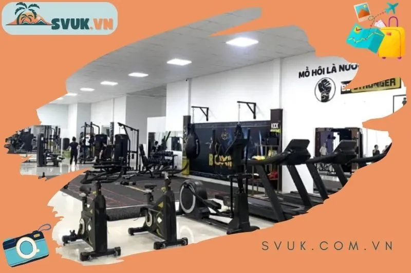 utmio-private-gym-fitness