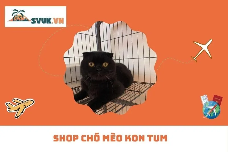 Shop Chó Mèo Kon Tum
