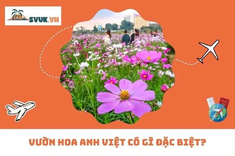 Vườn Hoa Anh Việt  Có Gì Đặc Biệt?